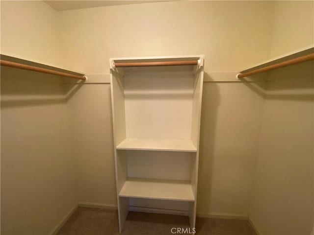 1585 Gate Ln, Paradise, CA 95969 - spacious closet with carpet