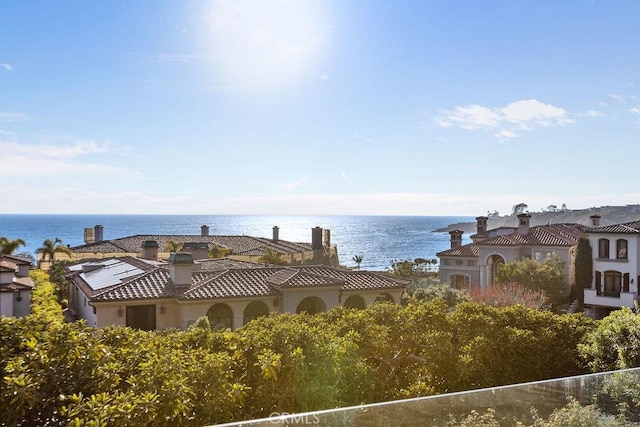 51 Ritz Cove Dr, Dana Point, CA 92629 - water view