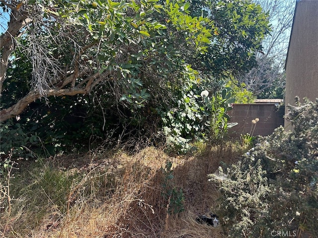 2549 Kansas Ave, South Gate, CA 90280 - view of yard