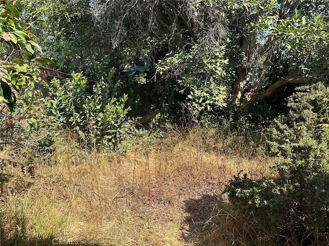 2549 Kansas Ave, South Gate, CA 90280 - view of local wilderness