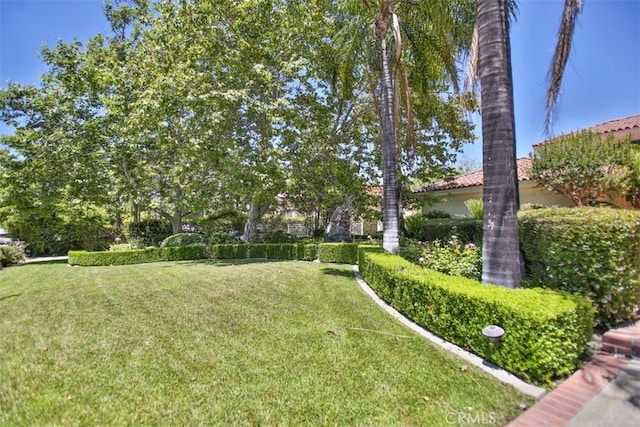 3624 Hollins Ave, Claremont, CA 91711 - view of grassy yard