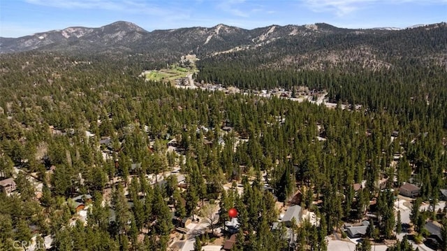 294 Santa Clara, Big Bear Lake, CA 92315 - photo 22