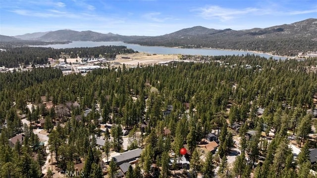 294 Santa Clara, Big Bear Lake, CA 92315 - photo 21