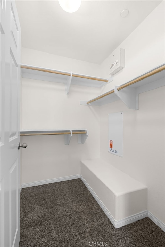 14856 Maple Ter, Panorama City, CA 91402 - spacious closet featuring carpet