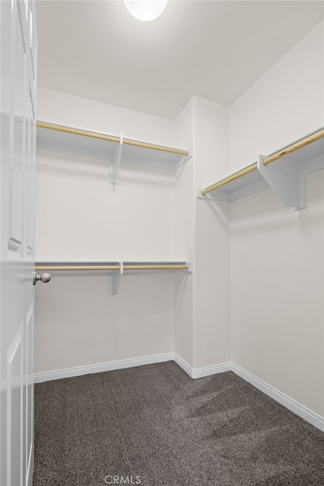 14856 Maple Ter, Panorama City, CA 91402 - spacious closet with carpet