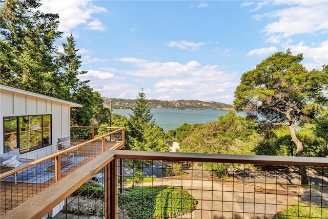 3095 S Lake Dr, Kelseyville, CA 95451 - photo 22
