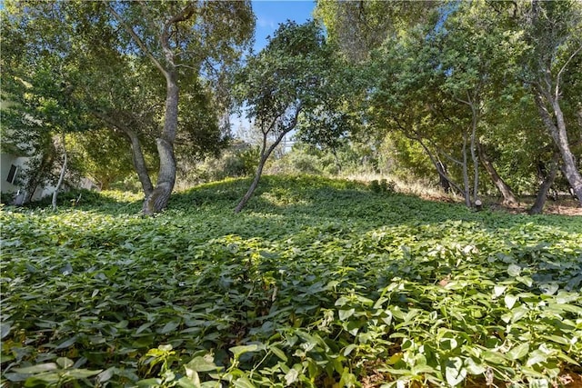 3095 S Lake Dr, Kelseyville, CA 95451 - photo 40