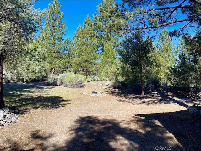 2521 Cedarwood Dr, Pine Mountain Club, CA 93222 - view of yard