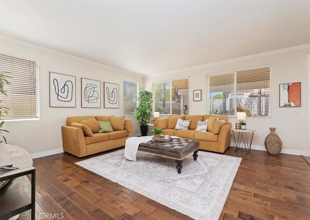 24320 Calle Estancia, Murrieta, CA 92562 - living area with ornamental molding and dark wood-style floors