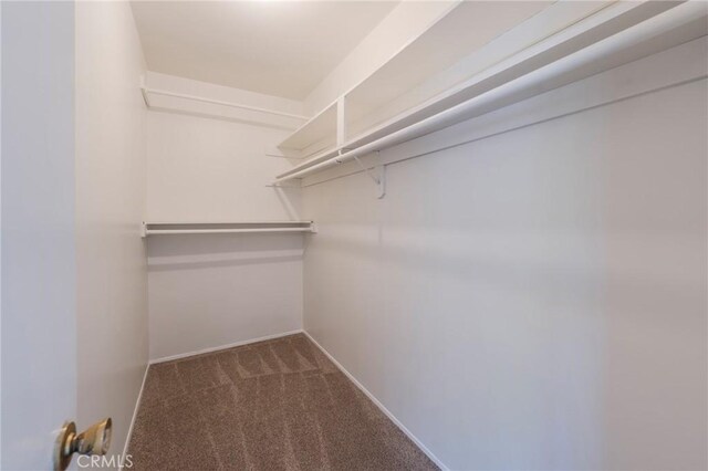 404 N Pear Knl, Anaheim, CA 92805 - walk in closet with carpet flooring