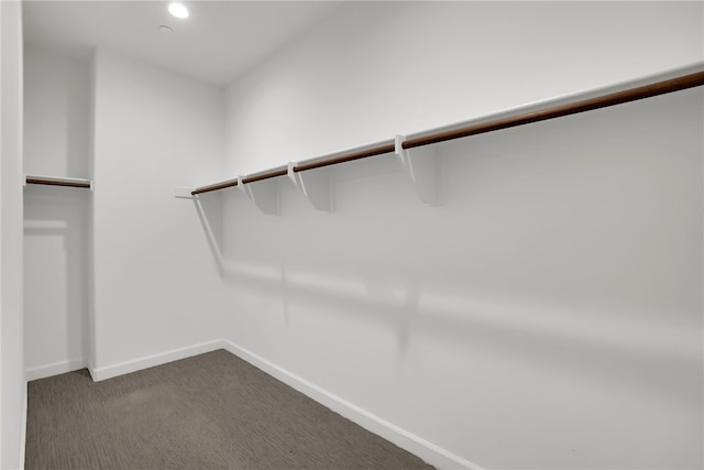 15814 Moonflower Ave, Chino, CA 91708 - walk in closet with dark colored carpet