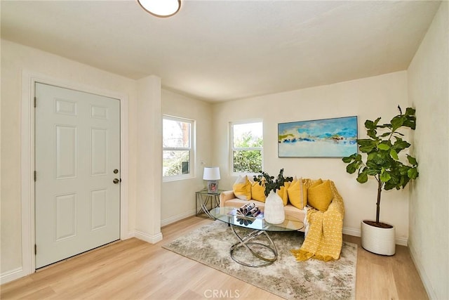2028 N Marianna Ave, Los Angeles, CA 90032 - entryway featuring light wood-style flooring and baseboards