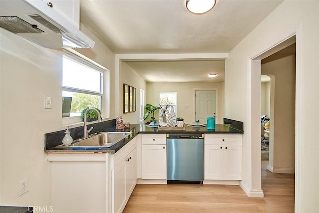 2028 N Marianna Ave, Los Angeles, CA 90032 - kitchen featuring dishwasher, a sink, light wood-type flooring, under cabinet range hood, and white cabinets