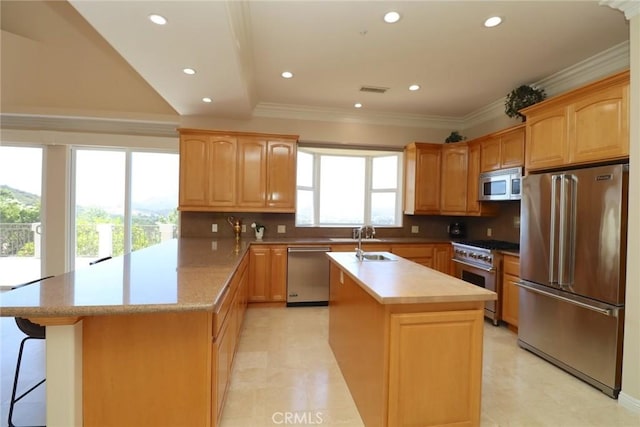 485 Kathleen Dr, Newbury Park, CA 91320 - kitchen with high quality appliances, a peninsula, a sink, recessed lighting, and an island with sink