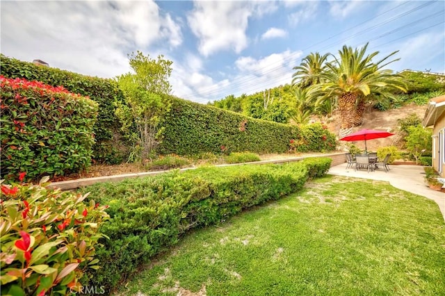 2501 Tiffany Pl, Fullerton, CA 92833 - view of green lawn featuring a patio