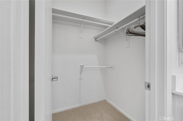 49239 Barrymore St, Indio, CA 92201 - spacious closet with carpet floors