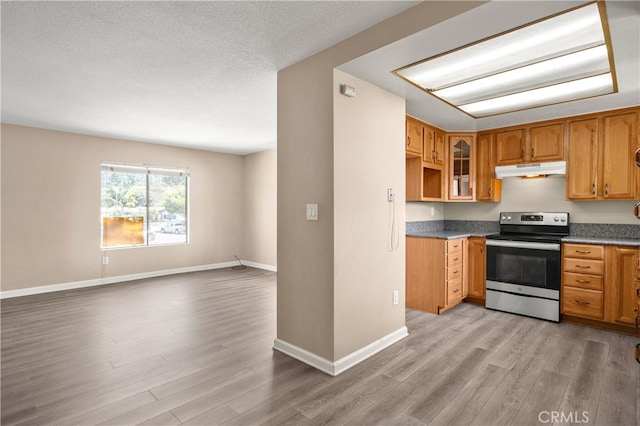 4137 Tiberon Dr, Oceanside, CA 92056 - kitchen featuring electric range, under cabinet range hood, light wood-style flooring, glass insert cabinets, and a textured ceiling