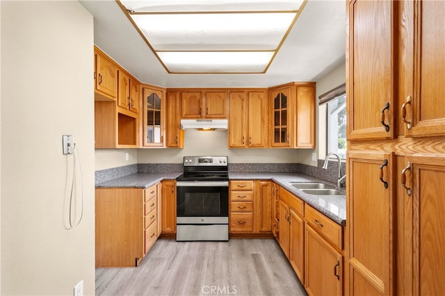 4137 Tiberon Dr, Oceanside, CA 92056 - kitchen featuring stainless steel range with electric cooktop, a sink, under cabinet range hood, light wood-type flooring, and glass insert cabinets
