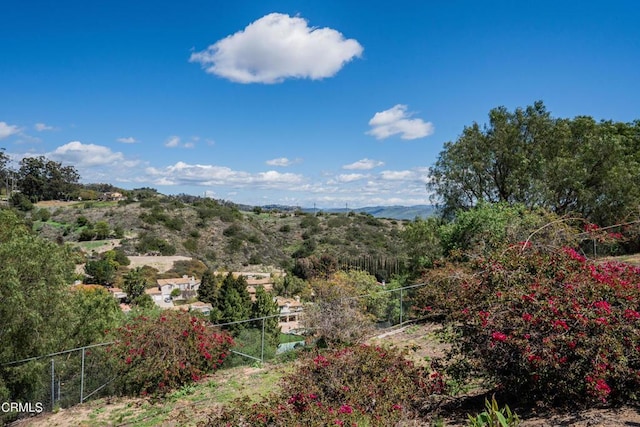 6065 Cielo Vista Ct, Camarillo, CA 93012 - photo 52