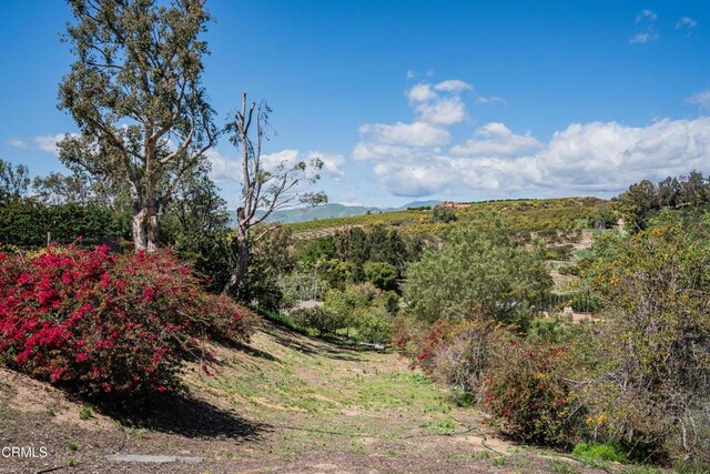 6065 Cielo Vista Ct, Camarillo, CA 93012 - photo 54