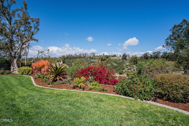 6065 Cielo Vista Ct, Camarillo, CA 93012 - photo 51