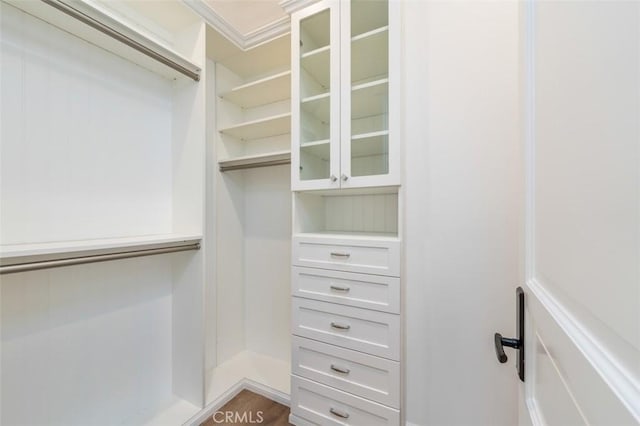 20701 Dumont St, Woodland Hills, CA 91364 - view of spacious closet