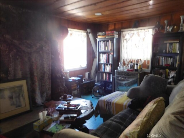 12861 Lakeview Dr, Clearlake Oaks, CA 95423 - miscellaneous room with wood ceiling