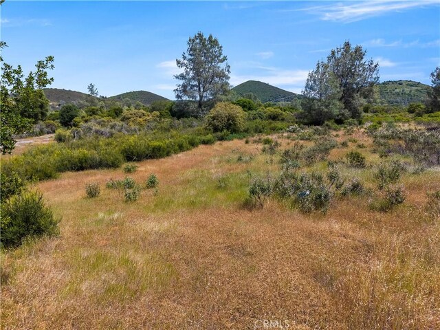 8152 Bottle Rock Rd, Kelseyville, CA 95451 - photo 24