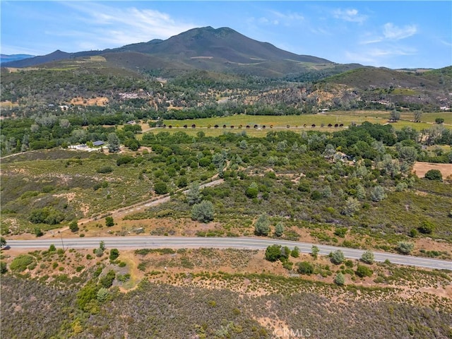 8152 Bottle Rock Rd, Kelseyville, CA 95451 - photo 4