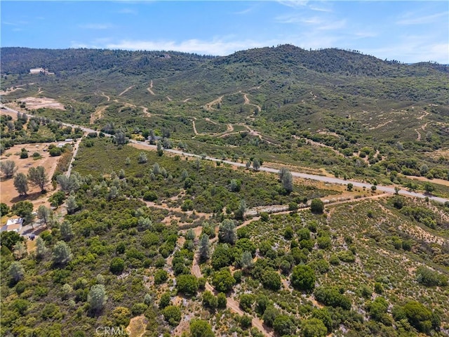 8152 Bottle Rock Rd, Kelseyville, CA 95451 - photo 19