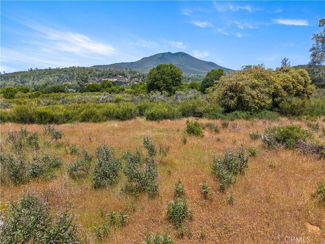 8152 Bottle Rock Rd, Kelseyville, CA 95451 - photo 25
