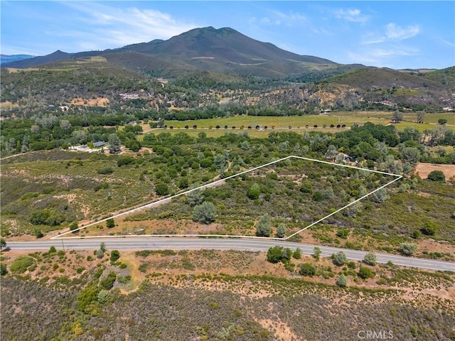 8152 Bottle Rock Rd, Kelseyville, CA 95451 - photo 3