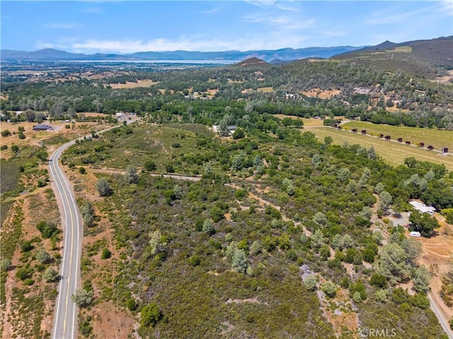 8152 Bottle Rock Rd, Kelseyville, CA 95451 - photo 8