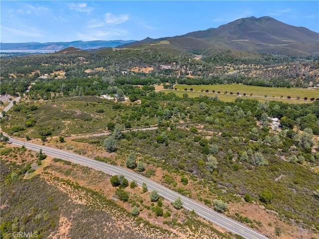 8152 Bottle Rock Rd, Kelseyville, CA 95451 - photo 6