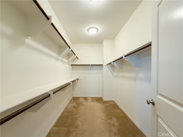 6184 Lafayette St, Chino, CA 91710 - spacious closet with carpet floors