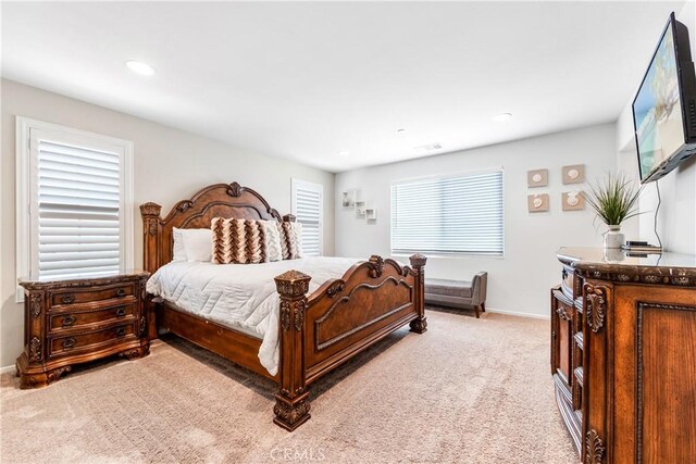 29104 Basswood, Lake Elsinore, CA 92530 - photo 12