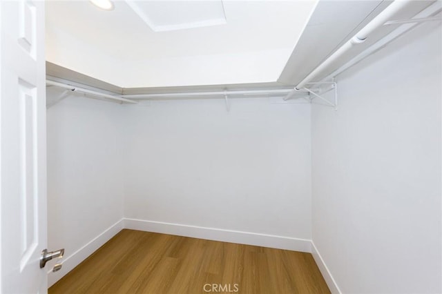 22016 Schoolcraft St, Canoga Park, CA 91303 - walk in closet featuring wood finished floors