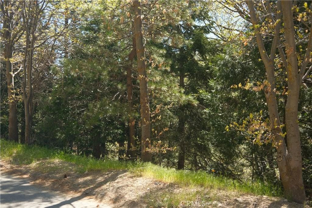 0 Thunderbird Dr, Lake Arrowhead, CA 92352
