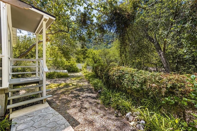 29422 Modjeska Canyon Rd, Modjeska Canyon, CA 92676 - view of yard with view of scattered trees