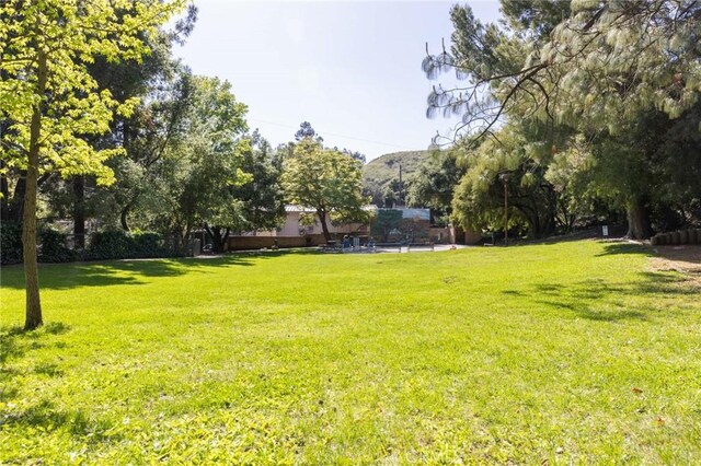 29422 Modjeska Canyon Rd, Modjeska Canyon, CA 92676 - view of grassy yard