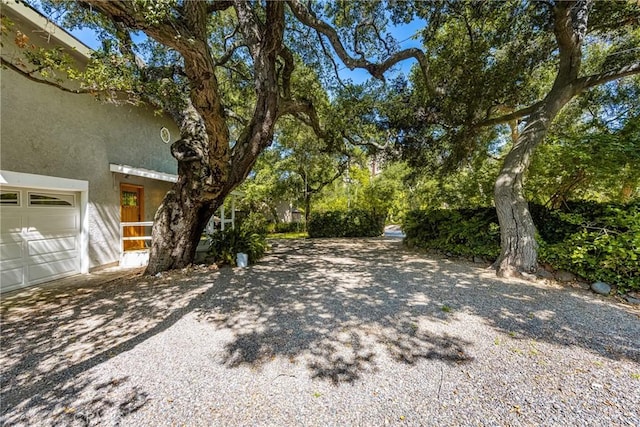 29422 Modjeska Canyon Rd, Modjeska Canyon, CA 92676 - view of yard with driveway