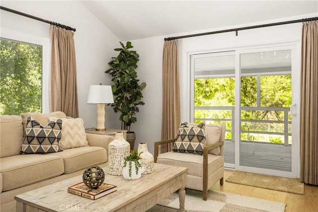 29422 Modjeska Canyon Rd, Modjeska Canyon, CA 92676 - living room featuring wood finished floors, vaulted ceiling, and plenty of natural light
