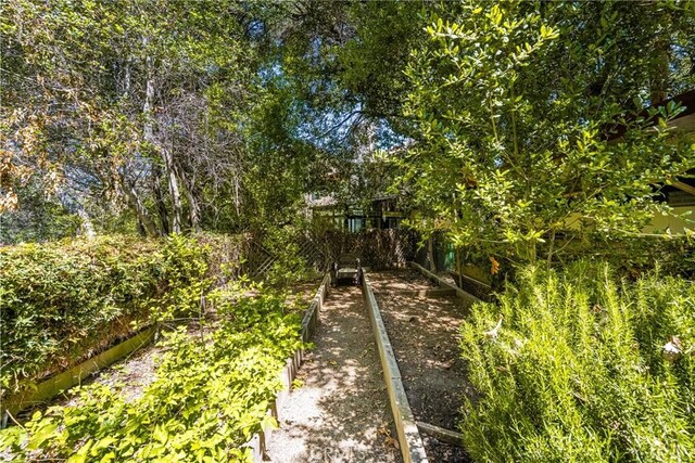 29422 Modjeska Canyon Rd, Modjeska Canyon, CA 92676 - view of yard