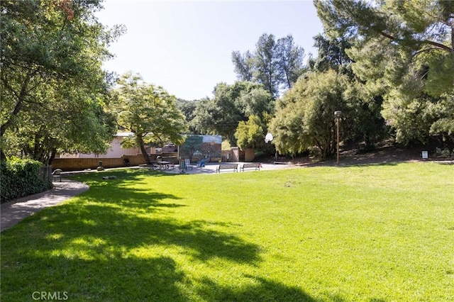 29422 Modjeska Canyon Rd, Modjeska Canyon, CA 92676 - view of green lawn with a patio
