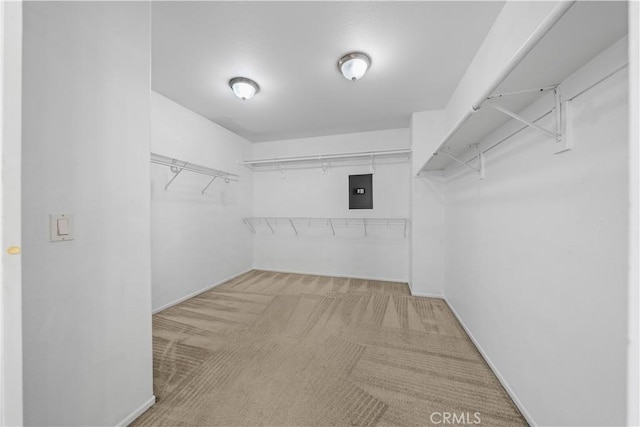8840 Greenlawn St, Riverside, CA 92508 - spacious closet with electric panel and carpet floors