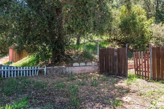 13965 Woods Valley Rd, Valley Center, CA 92082 - view of yard