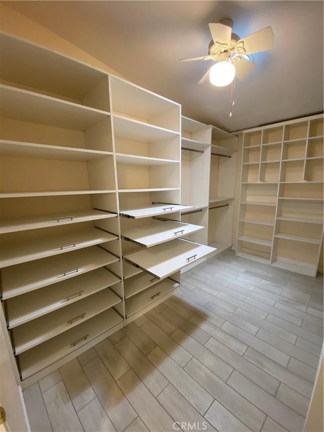 35450 Calle Nopal, Temecula, CA 92592 - walk in closet with ceiling fan and light wood-style flooring
