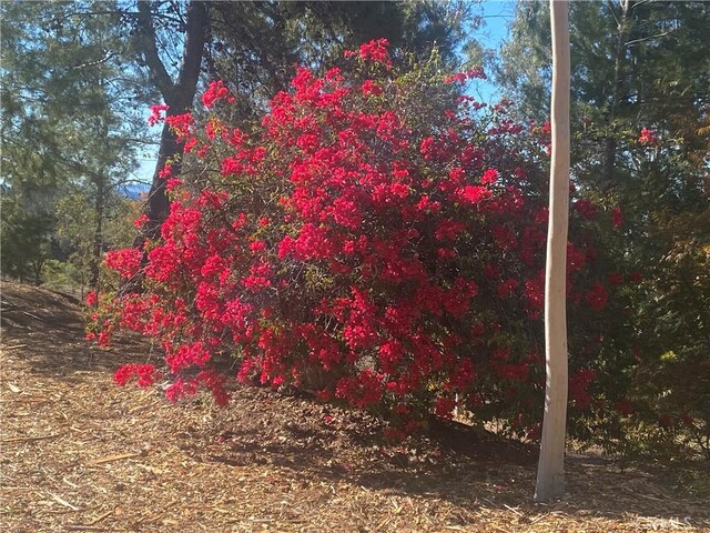 35450 Calle Nopal, Temecula, CA 92592 - view of undeveloped land