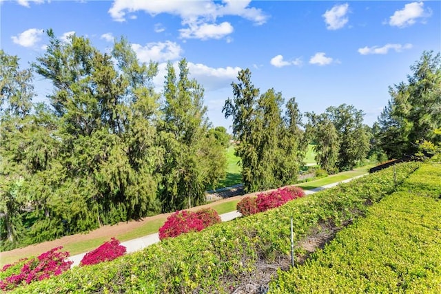 6421 Acacia Hill Dr, Yorba Linda, CA 92886 - photo 25