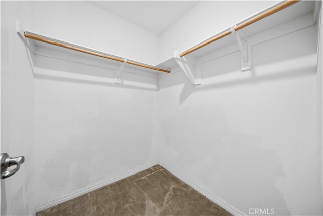 11877 Crossbill Way, Jurupa Valley, CA 91752 - spacious closet with dark colored carpet